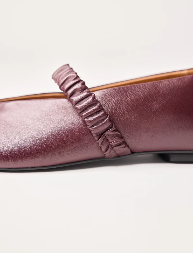 Rose - Aubergine