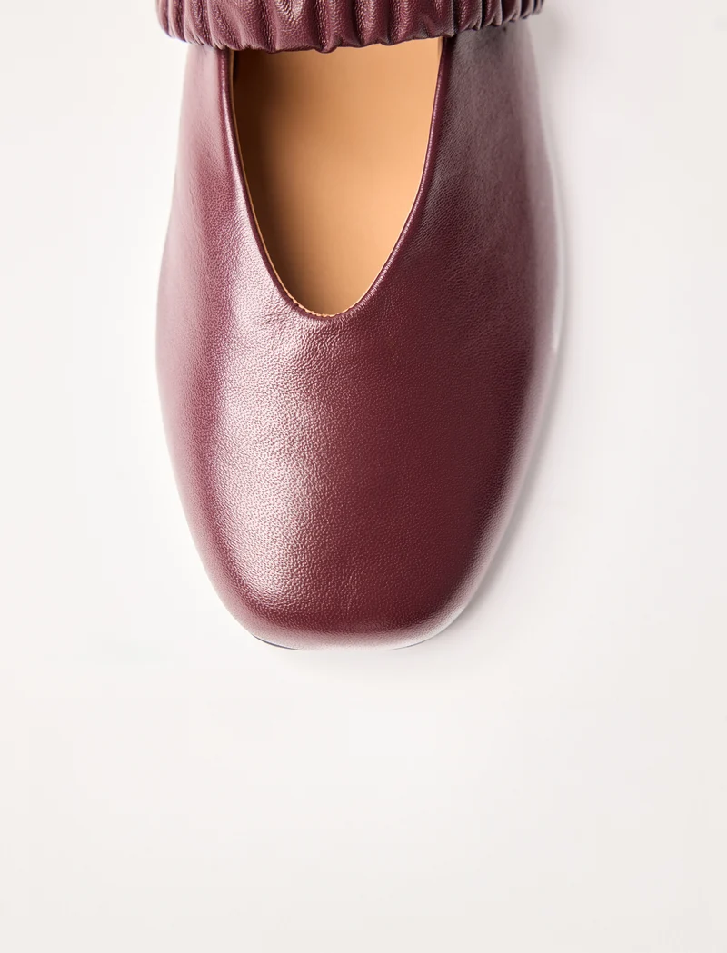Rose - Aubergine