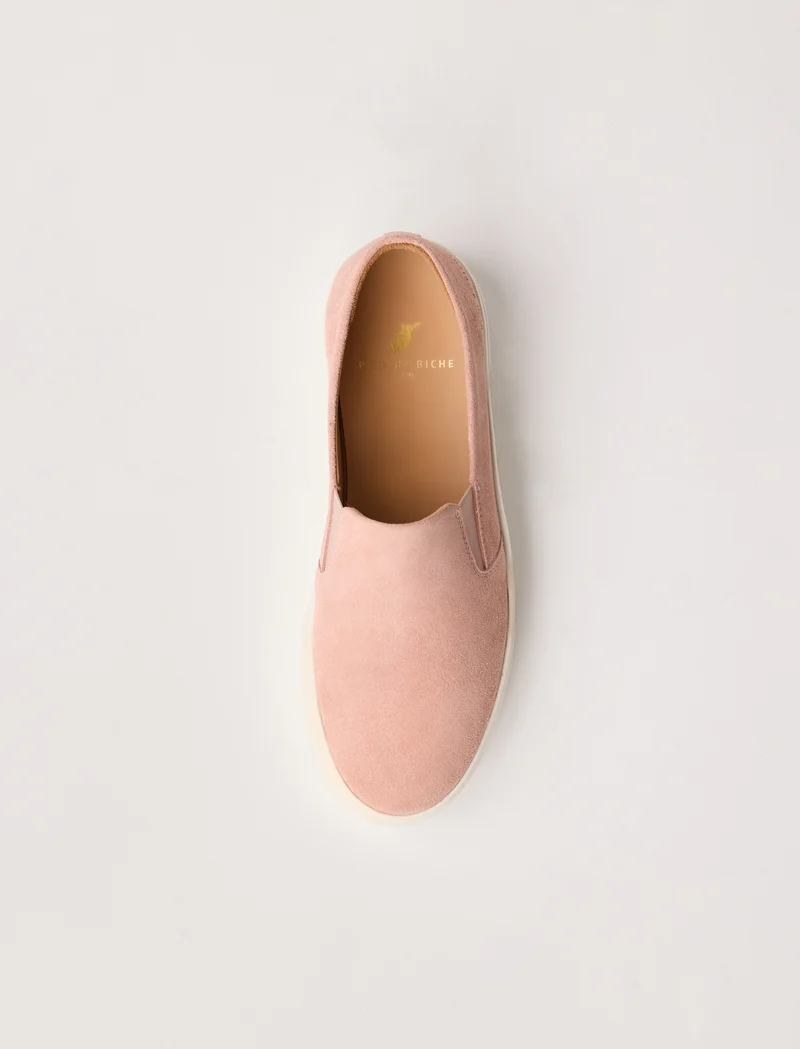 Calie - Rose