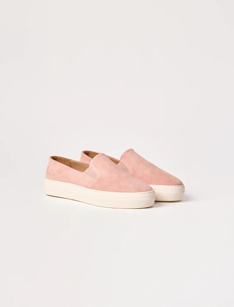 Calie - Rose