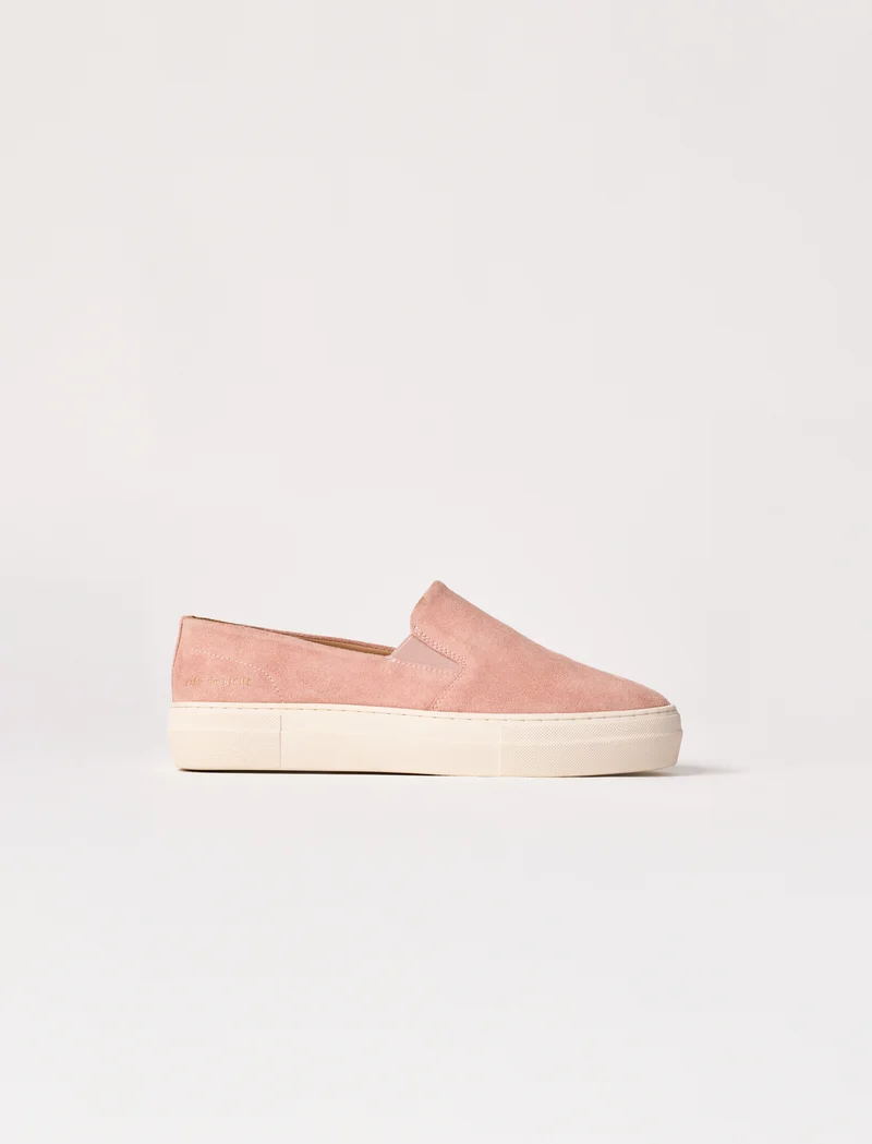 Calie - Rose