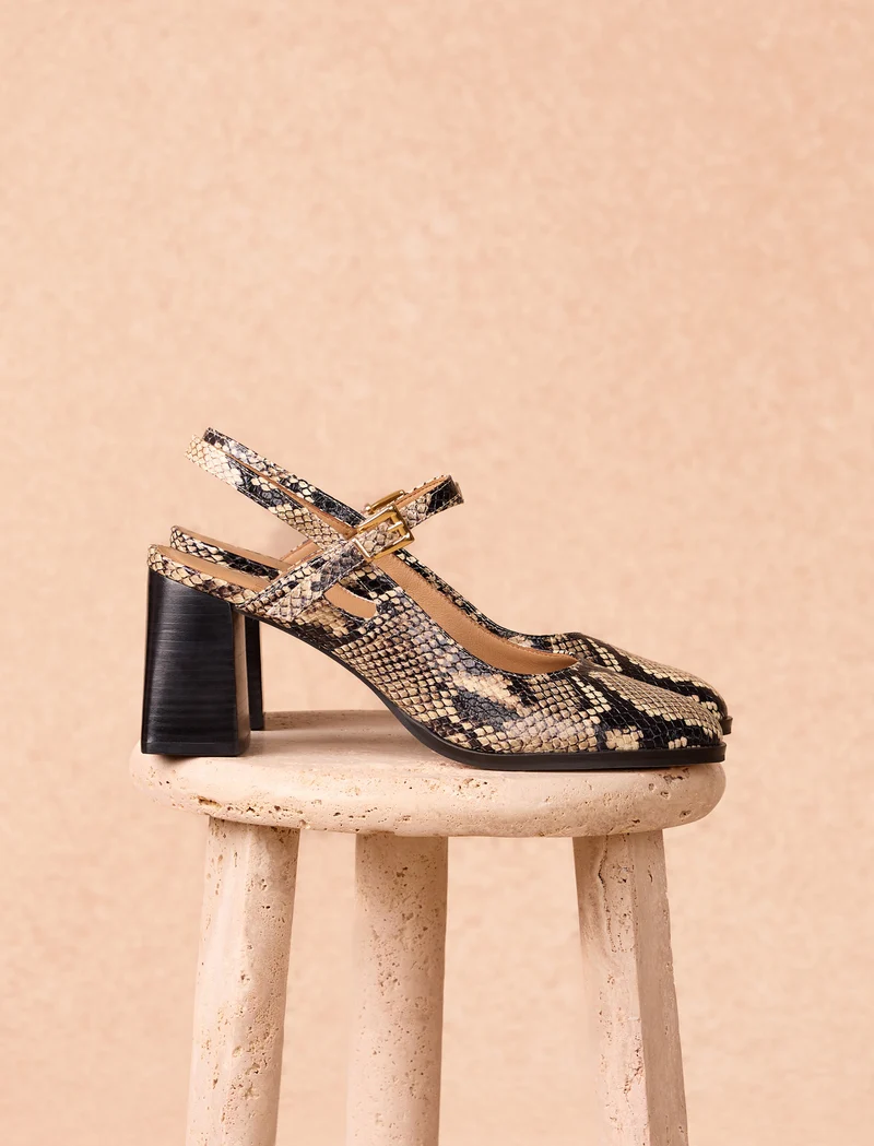 Adèle - Python