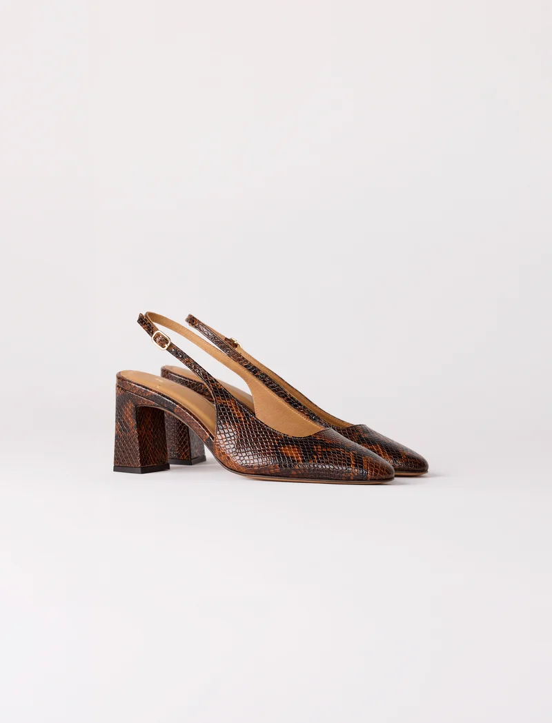 Ambre - Python