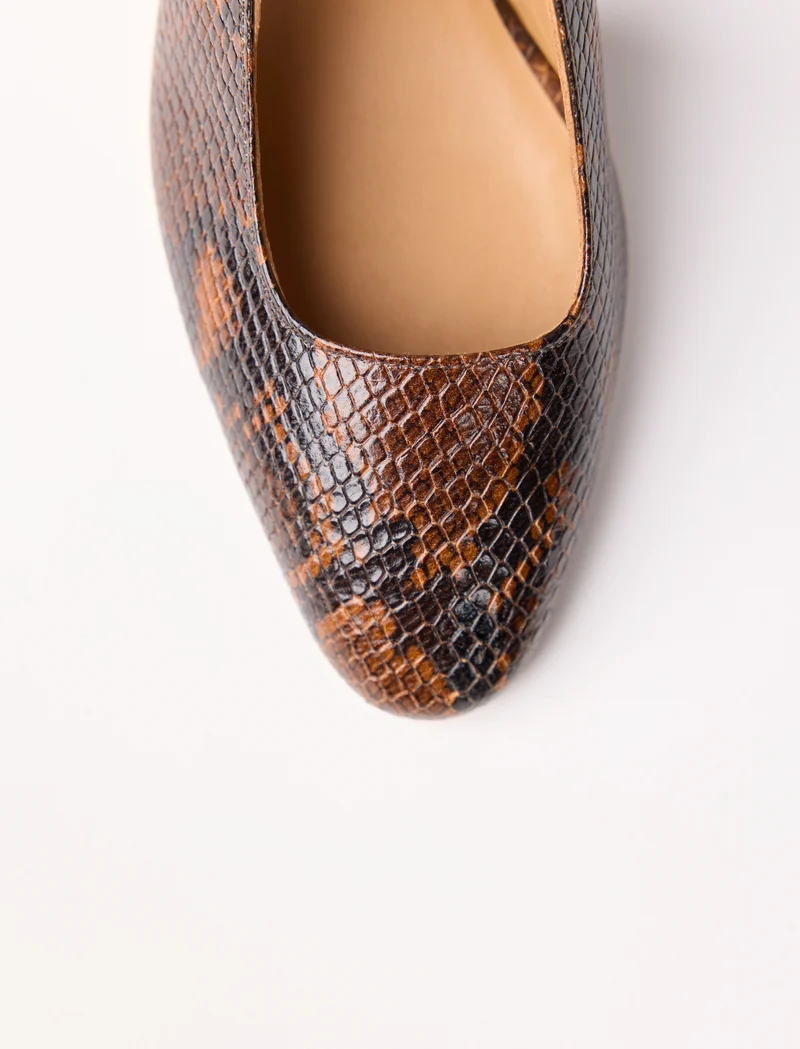 Ambre - Python