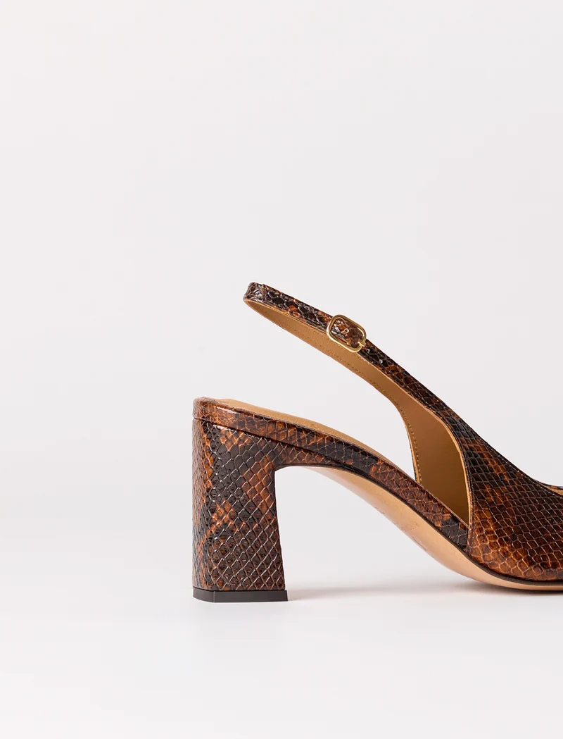 Ambre - Python