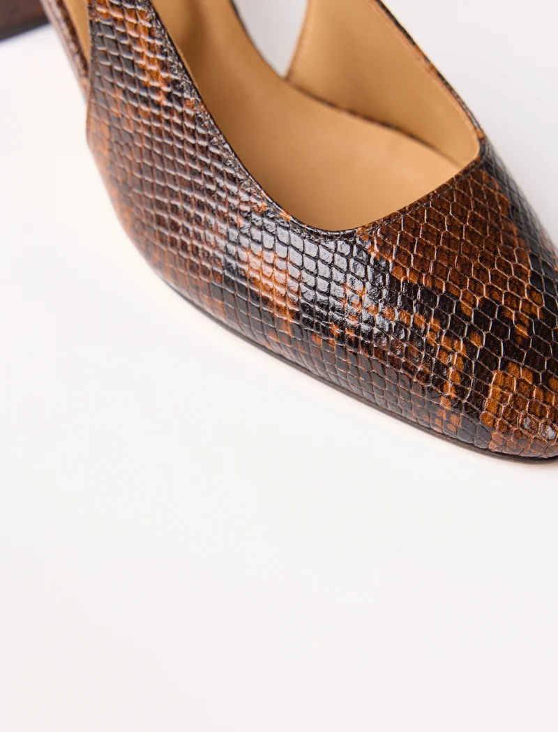Ambre - Python