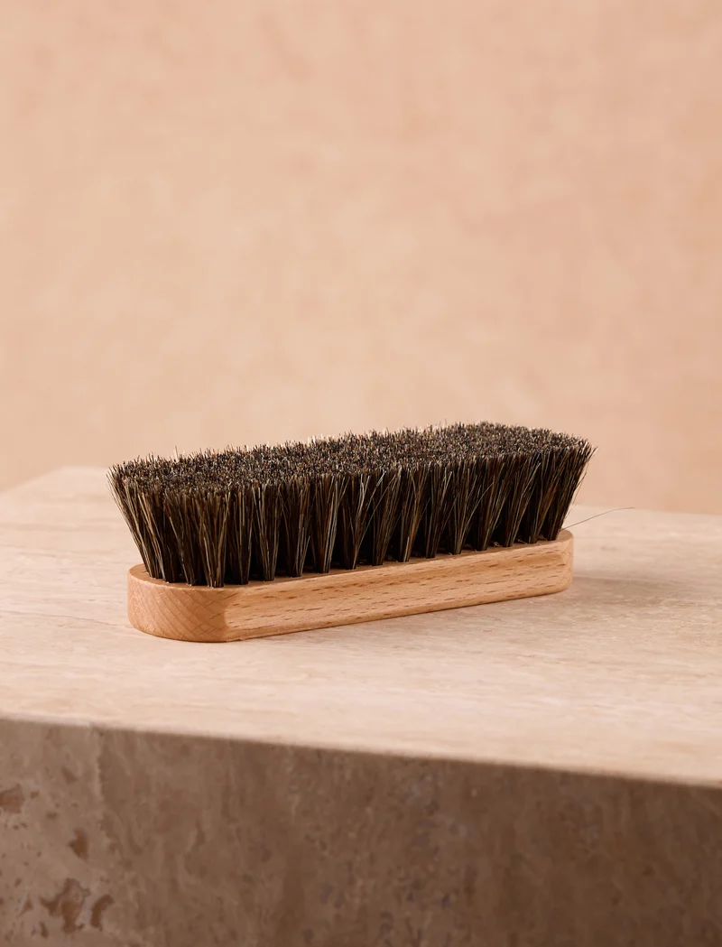 Brosse à reluire