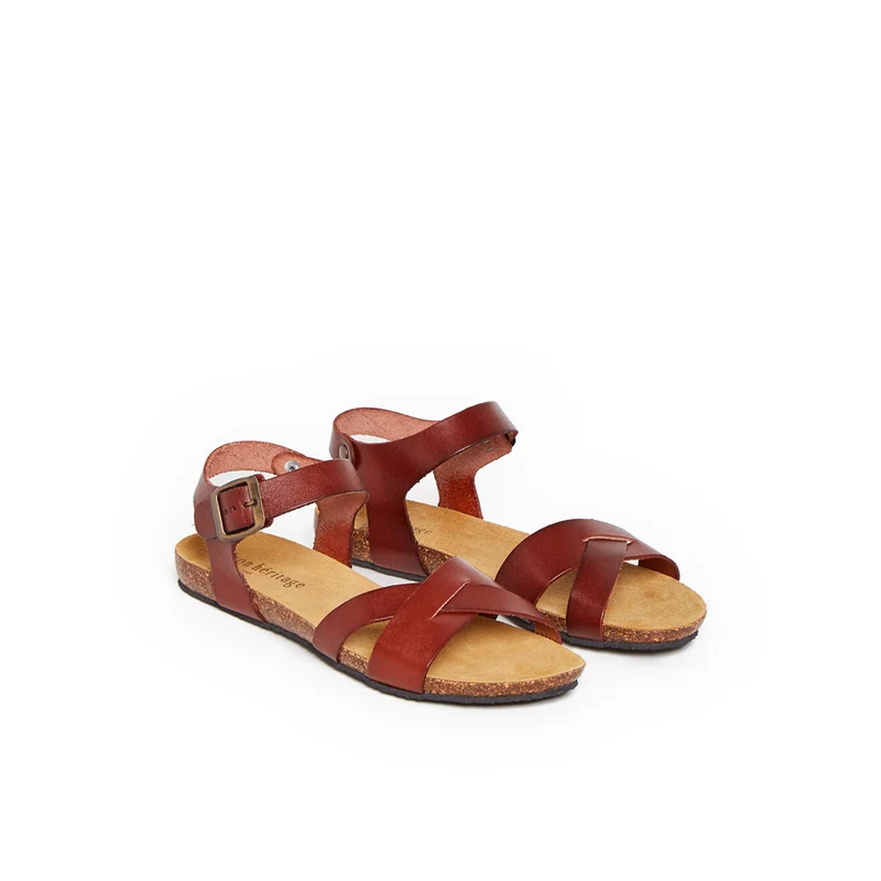 BRIHAT CAMEL