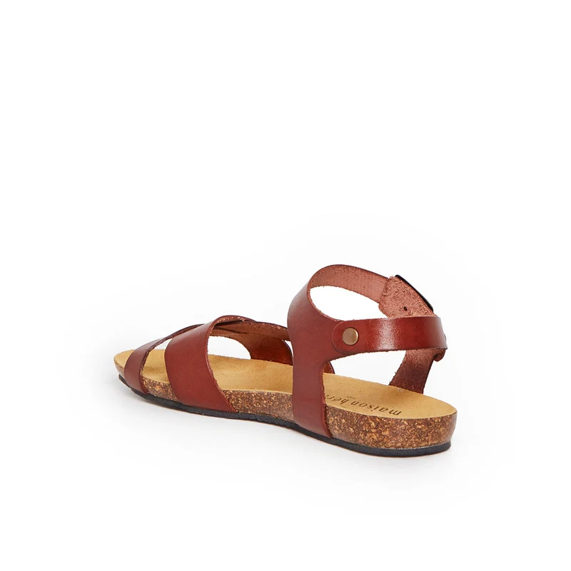 BRIHAT CAMEL