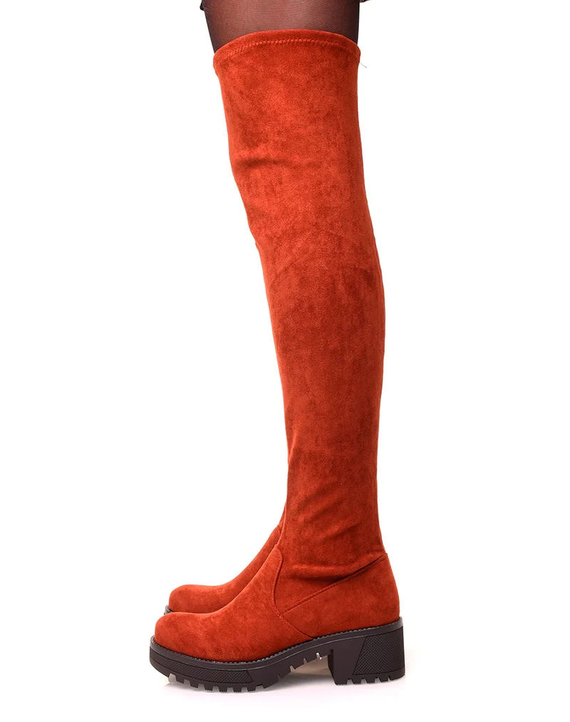 Cuissardes rouille effet suédine
