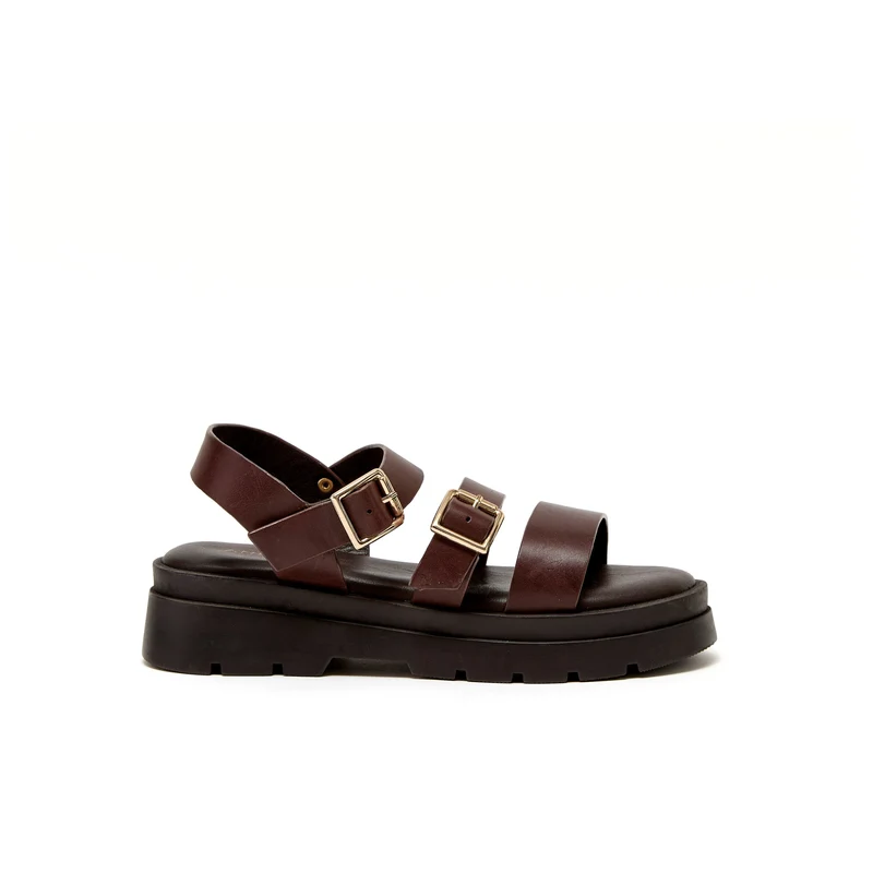 ADONIS MARRON CHOCOLAT