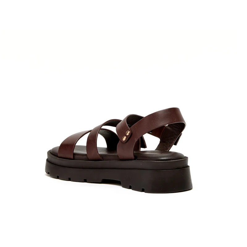 ADONIS MARRON CHOCOLAT