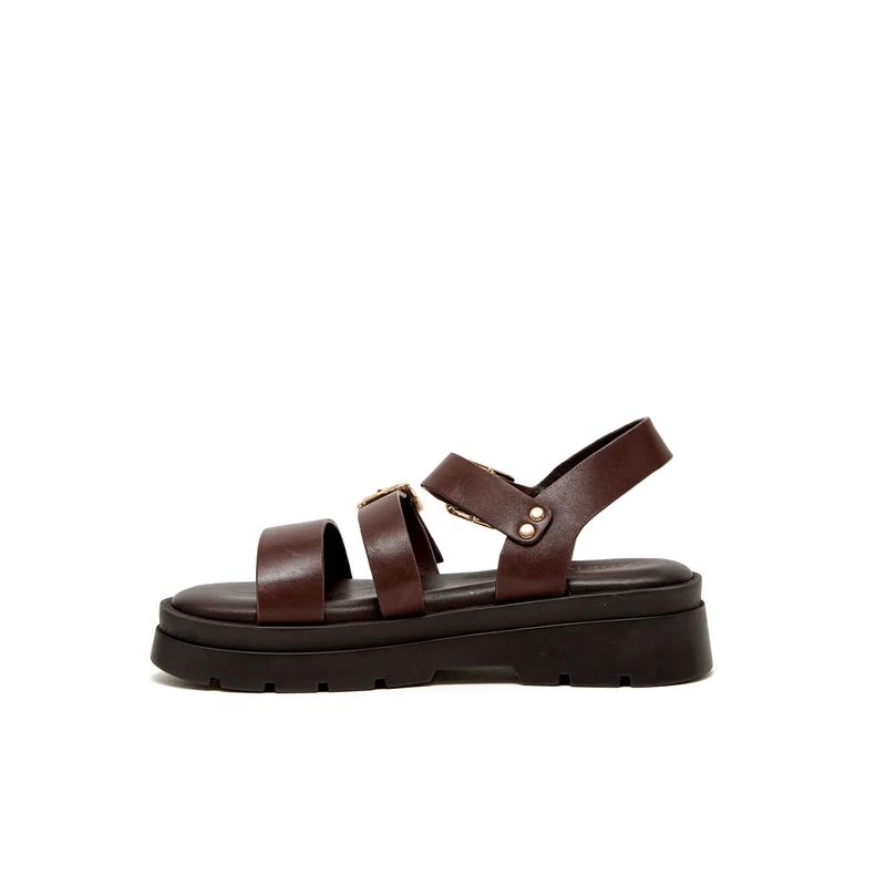 ADONIS MARRON CHOCOLAT