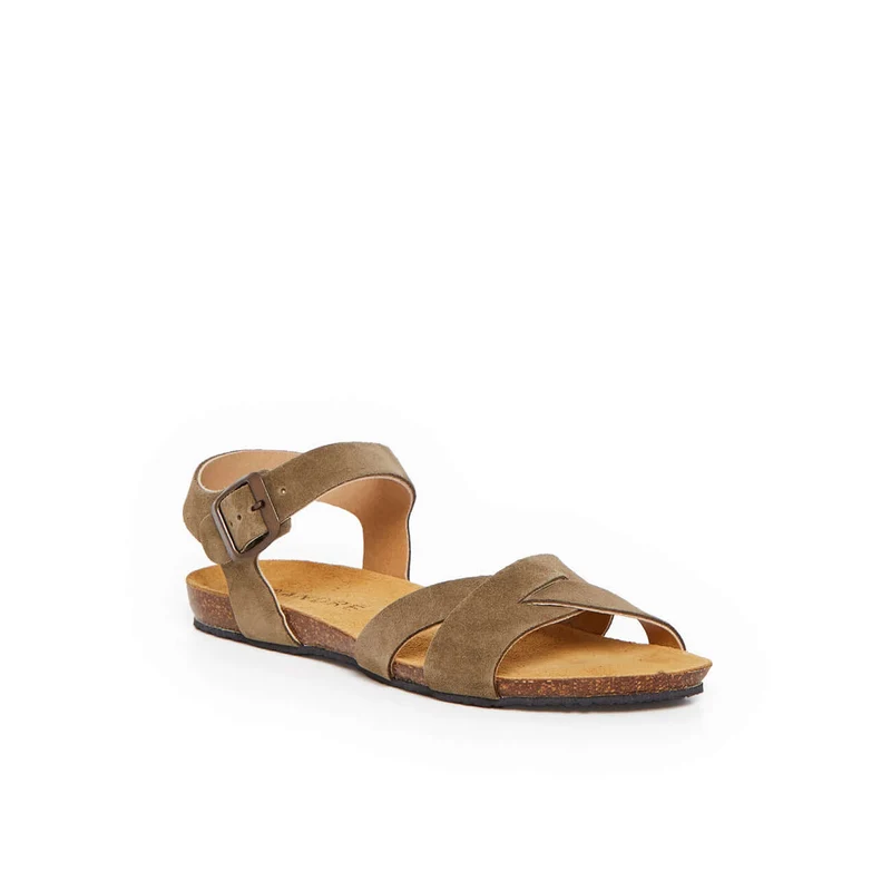 BREHAT KAKI