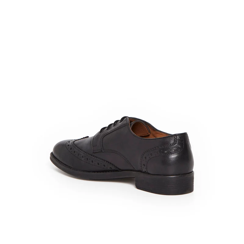 FAVREUIL NOIR