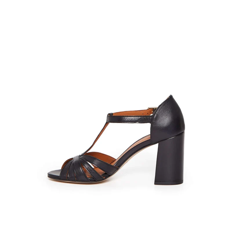 TULIPE NOIR