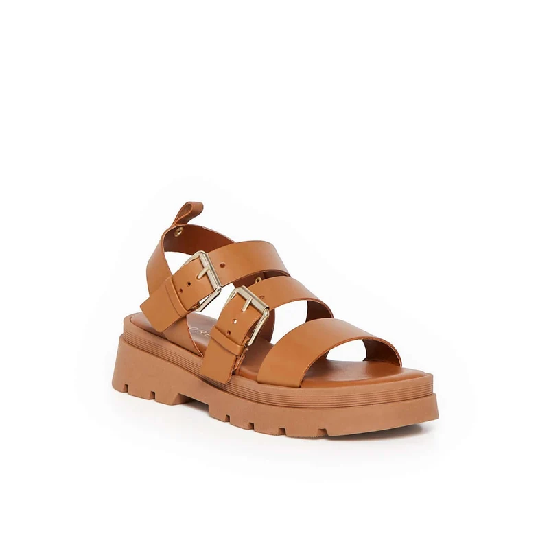 ADONIS CAMEL