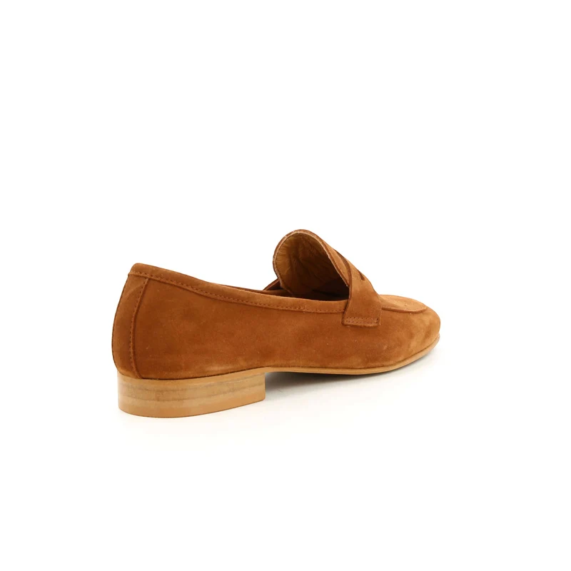 AWA CAMEL
