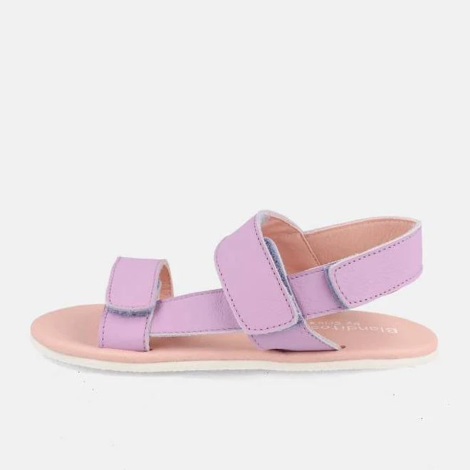Blanditos Zanzibar Lilas