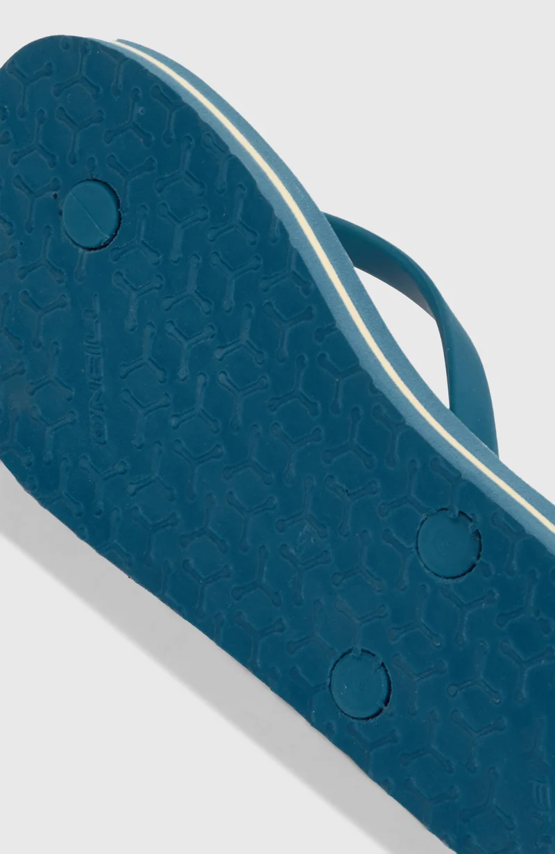 Tongs Profile Graphic | Blue Santa Monica