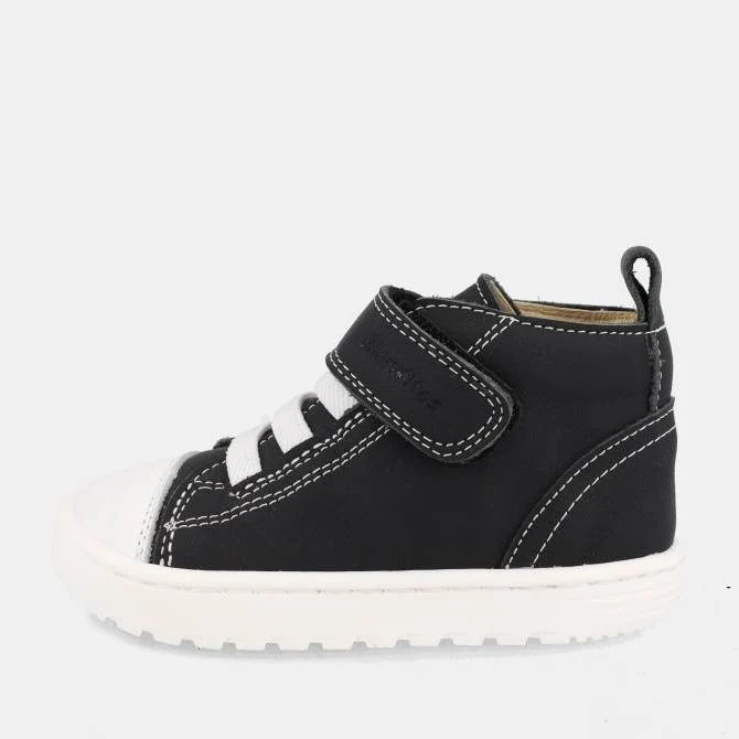 Blanditos Pekin Negro