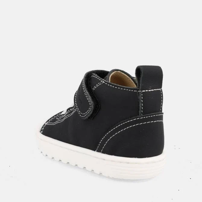 Blanditos Pekin Negro